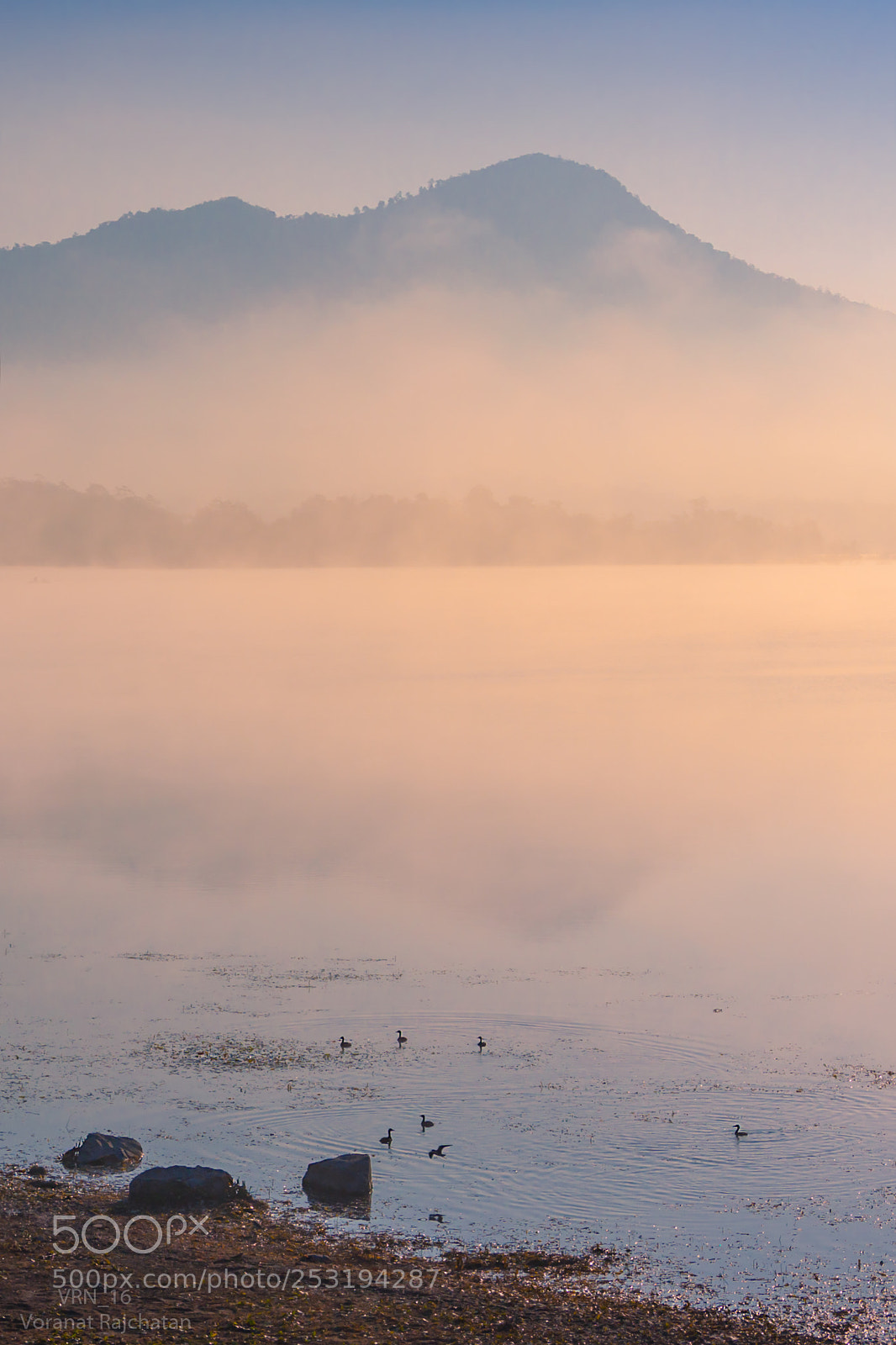 Canon EOS 50D sample photo. Morning mist photography