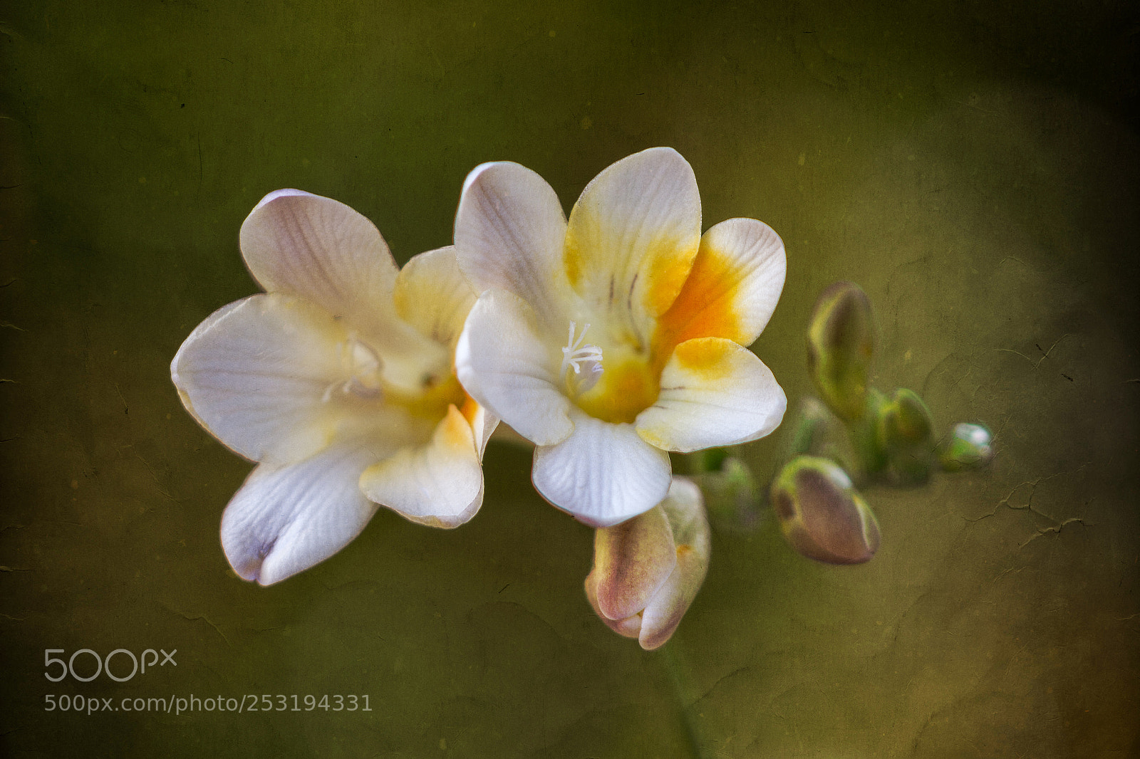 Nikon D7100 sample photo. Nature photography