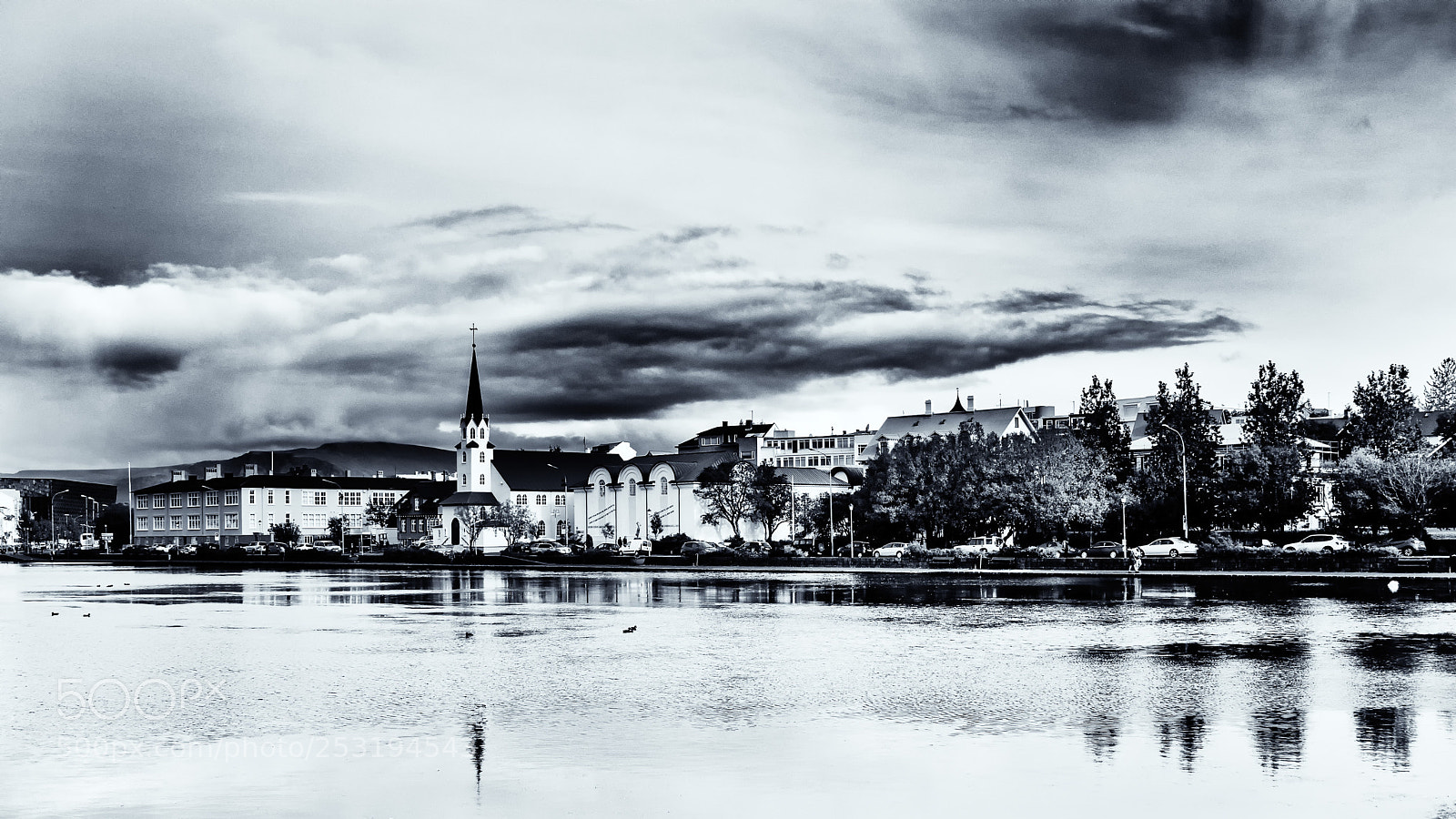 Olympus OM-D E-M1 sample photo. Tjörnin photography