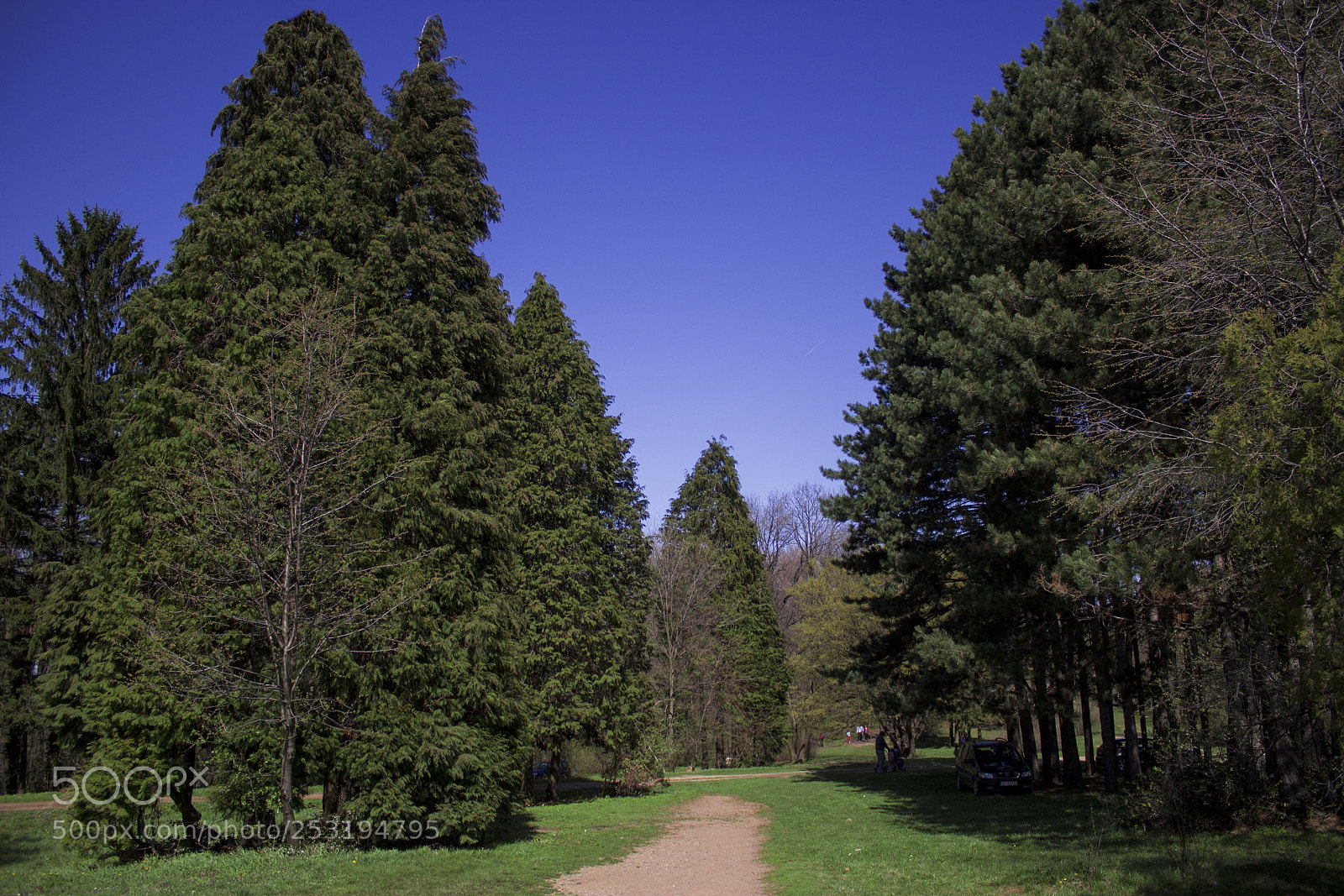 Canon EOS 600D (Rebel EOS T3i / EOS Kiss X5) sample photo. Springtime photography