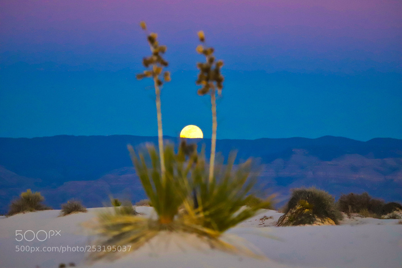 Canon EOS 6D Mark II sample photo. Full moon rising photography