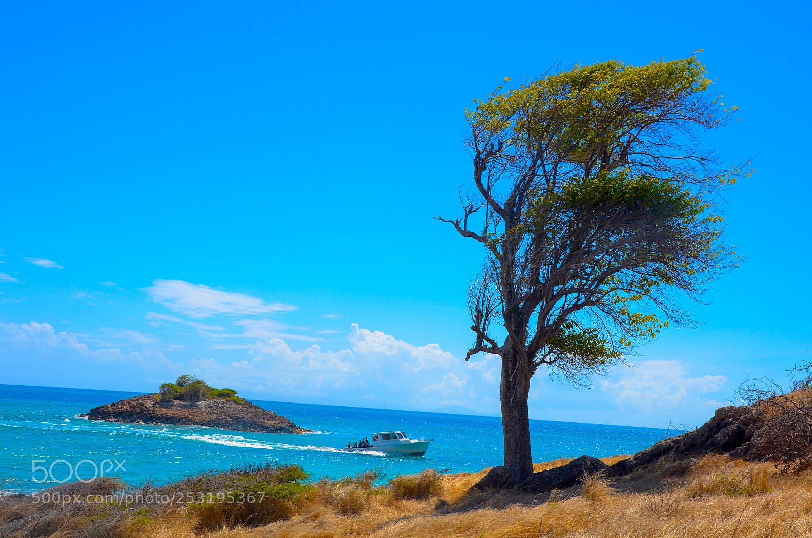 Nikon D7000 sample photo. Shores of antigua photography