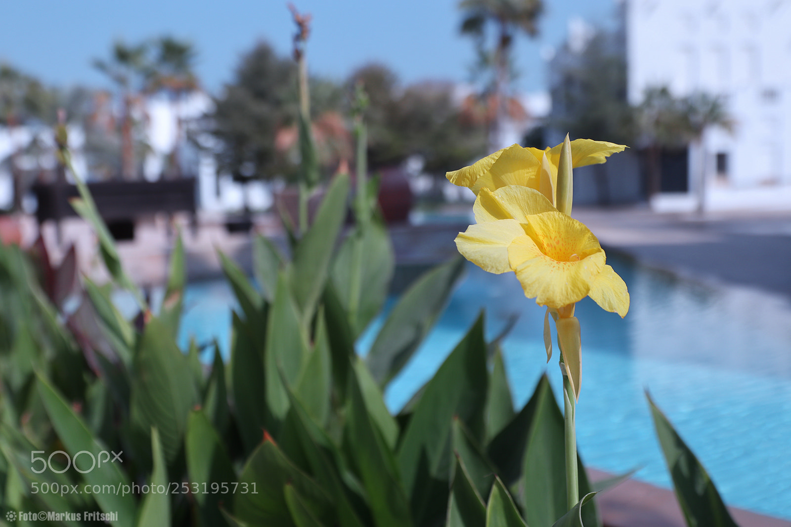 Canon EOS M6 sample photo. Single photography