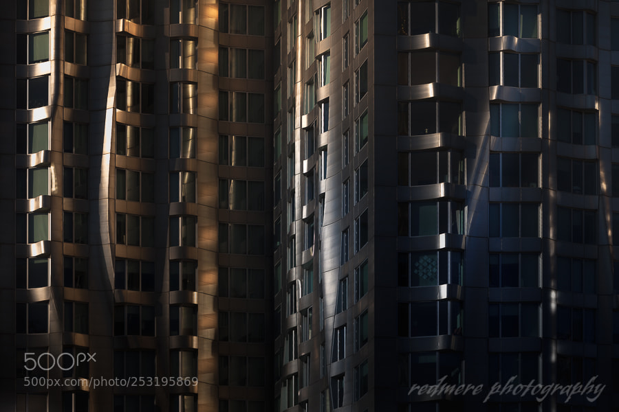 Canon EOS 5D Mark II sample photo. Between shadow and light photography