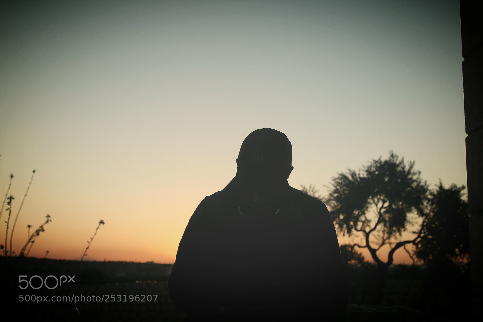 Canon EOS 70D sample photo. Untitled photography