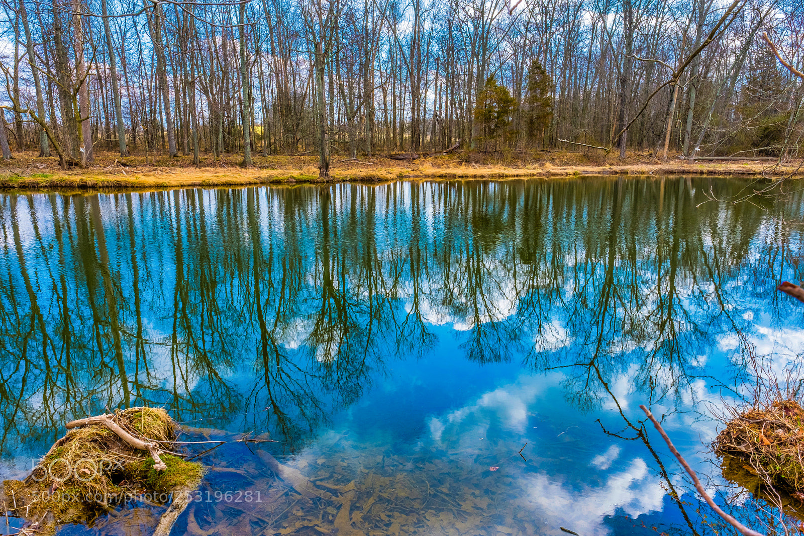 Fujifilm X-T2 sample photo. Reflections in a stream photography