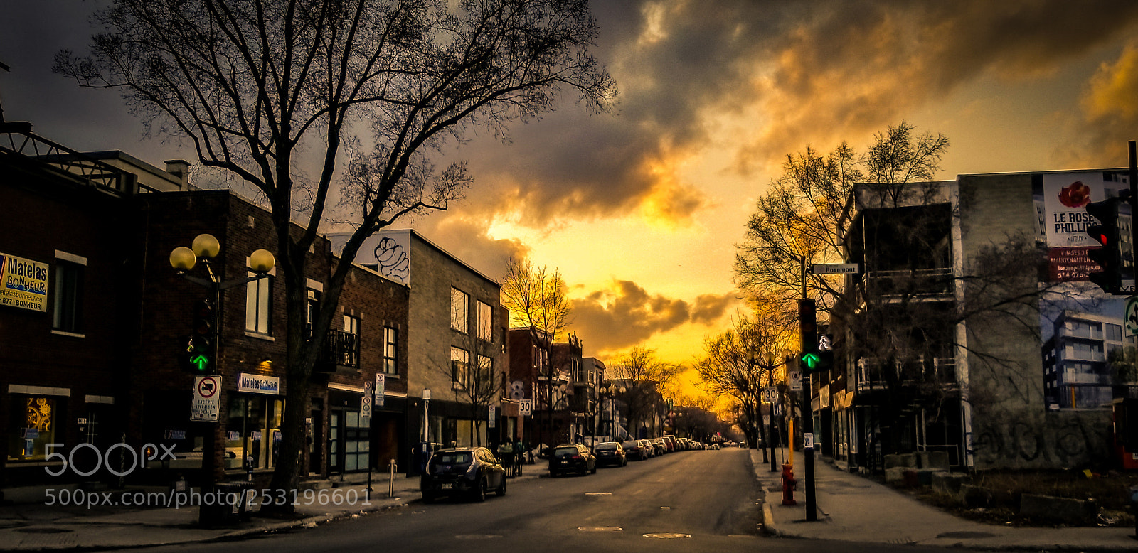 Samsung Galaxy S8 sample photo. Rosemont photography