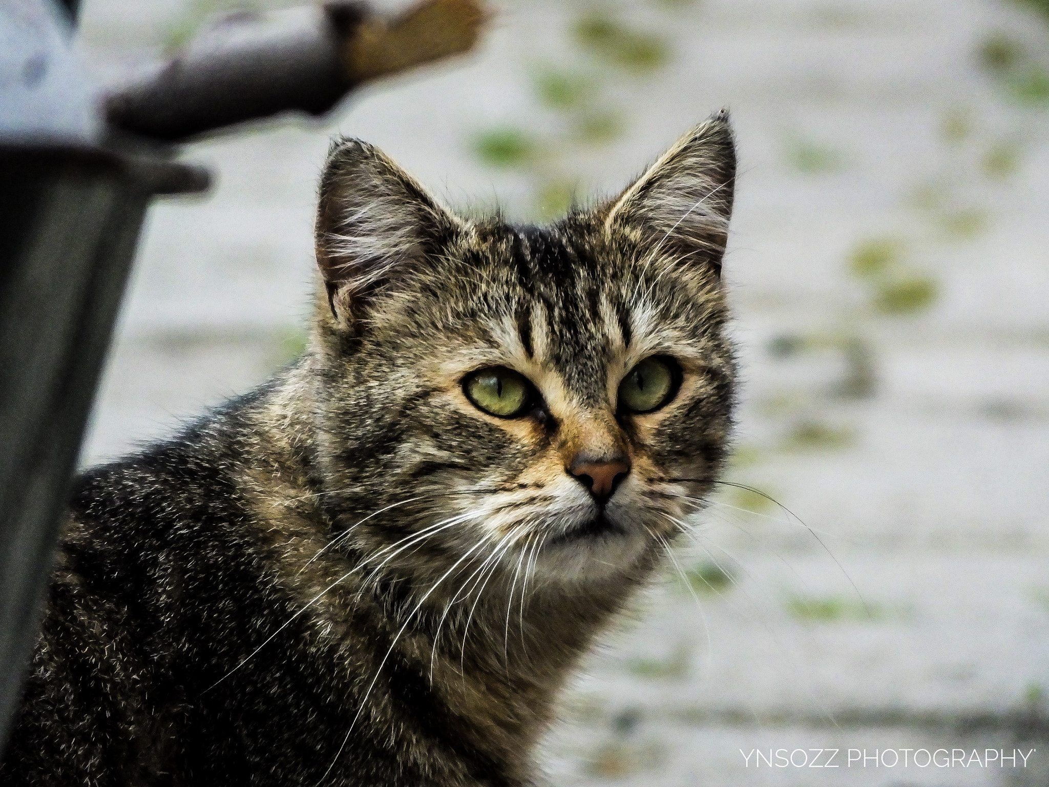 Fujifilm FinePix HS50 EXR sample photo
