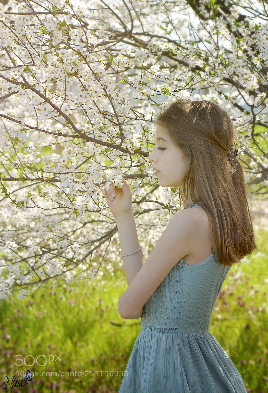 Nikon D7100 sample photo. In the garden photography