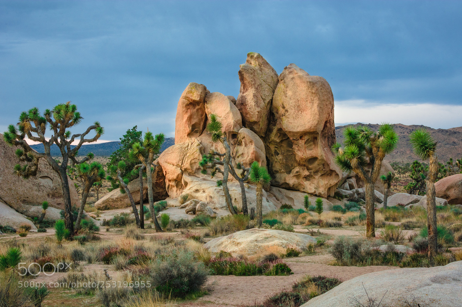 Nikon D7100 sample photo. Morning solitude photography