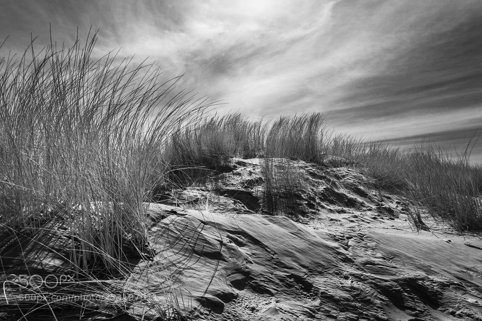 Sony a6000 sample photo. Dunes on the beach photography