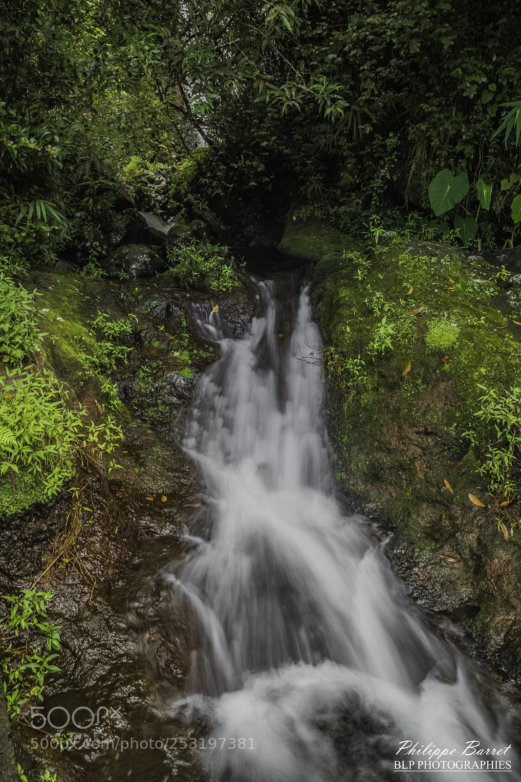 Nikon D7200 sample photo. Petite cascade photography