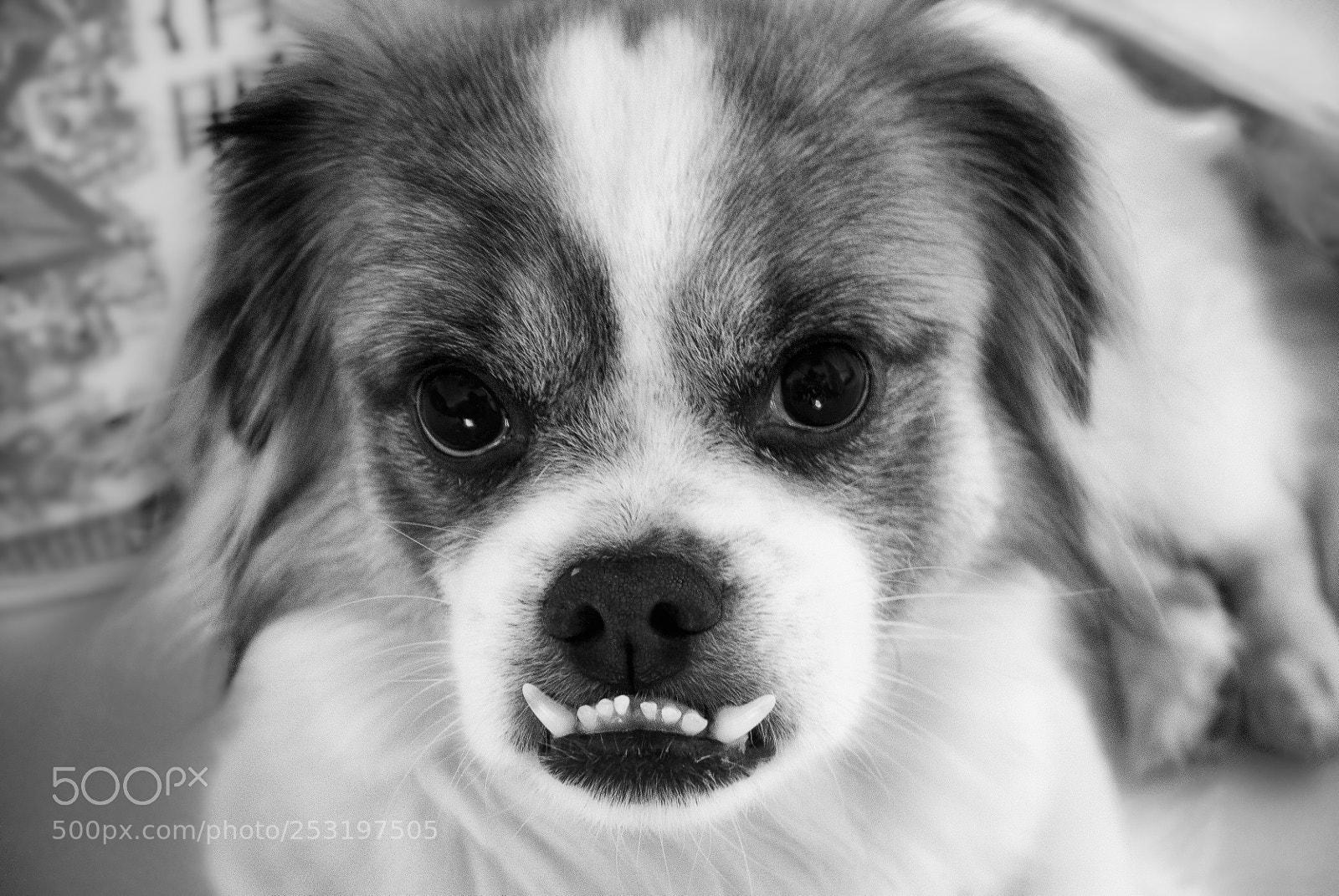 Canon EOS M3 sample photo. Who are you photography