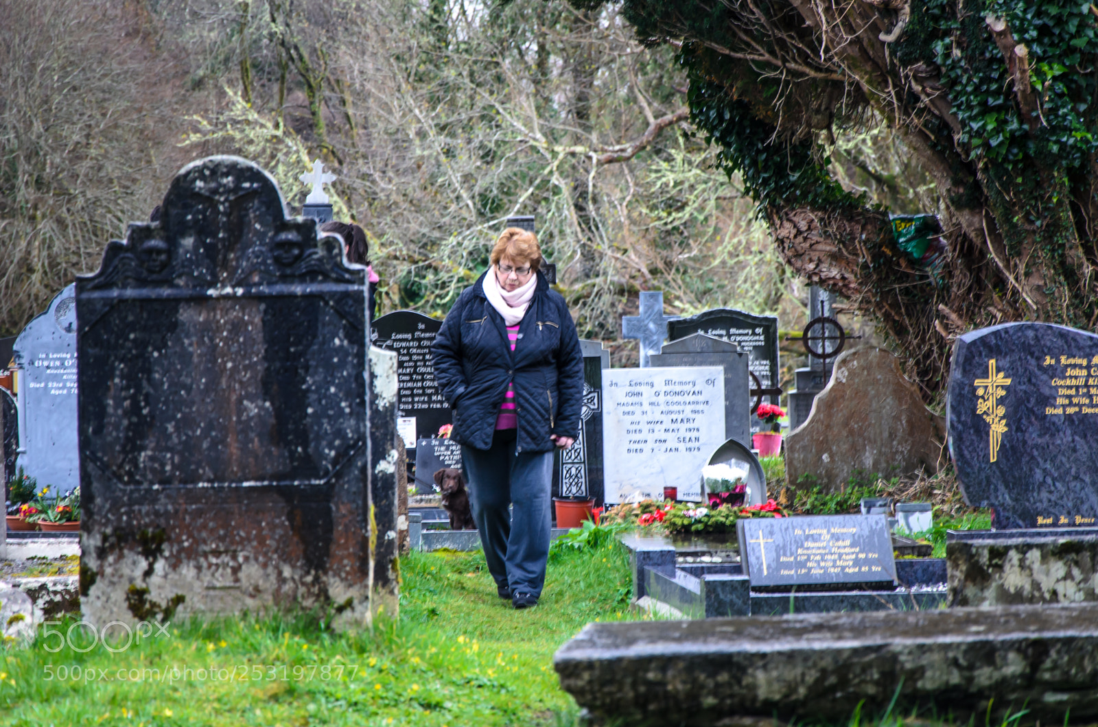 Nikon D5100 sample photo. Irlanda photography
