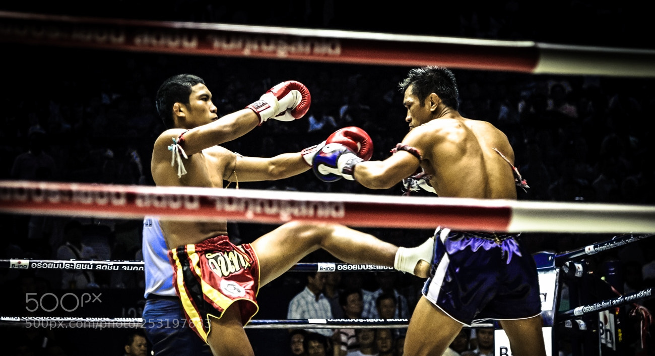 Nikon D3 sample photo. Boxing photography