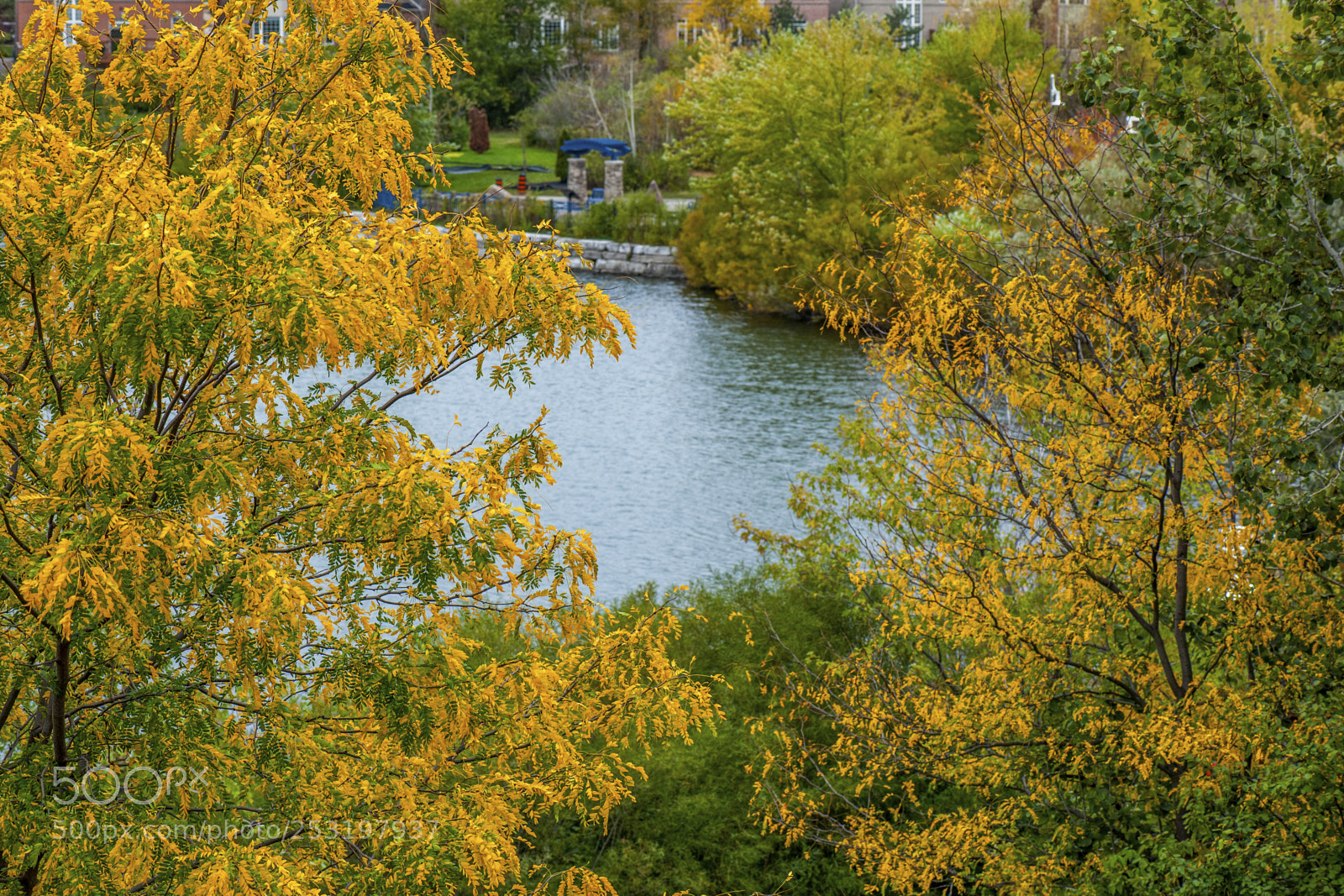 Nikon D3X sample photo. Autumn colours photography