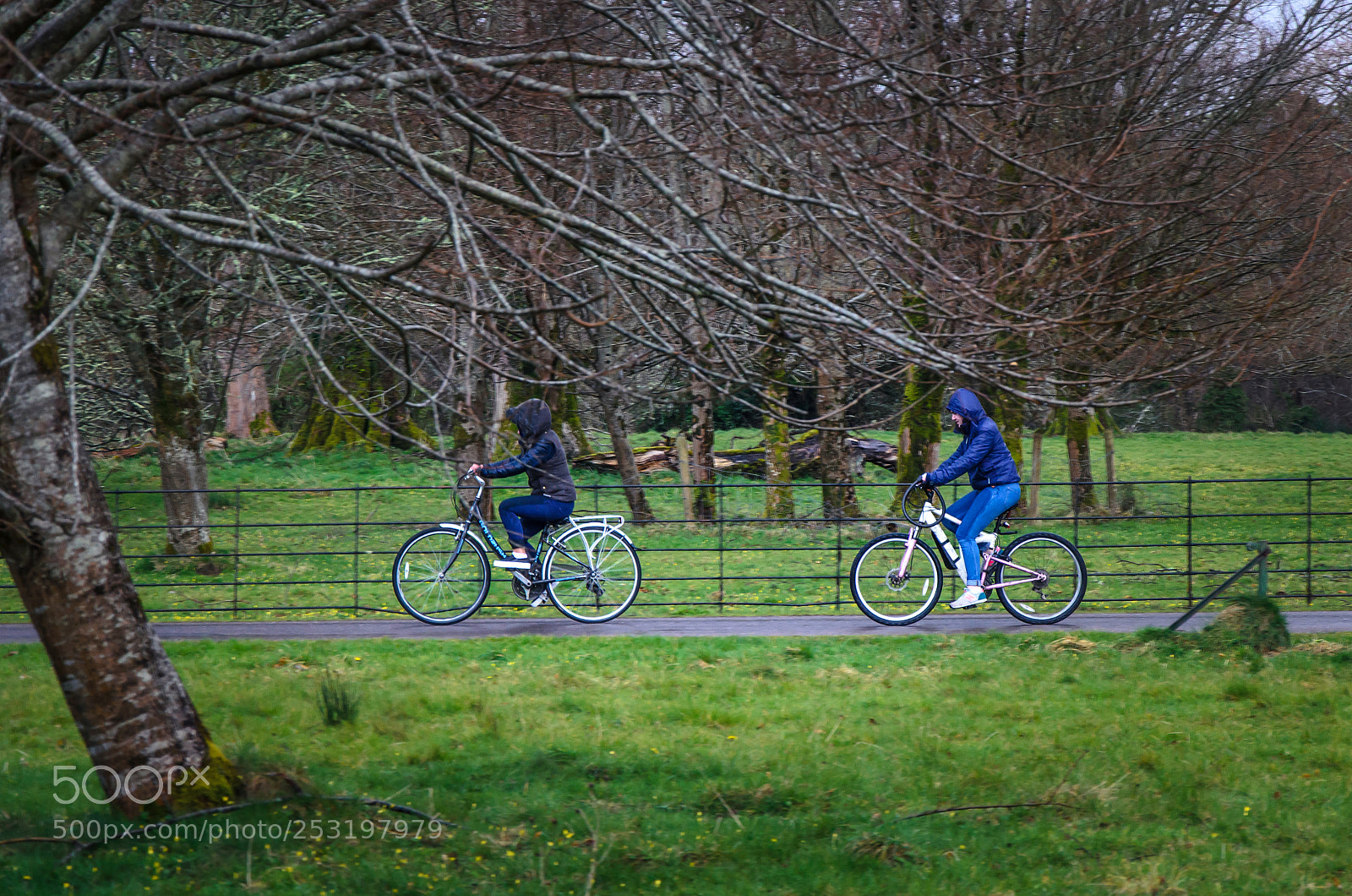 Nikon D5100 sample photo. Irlanda photography