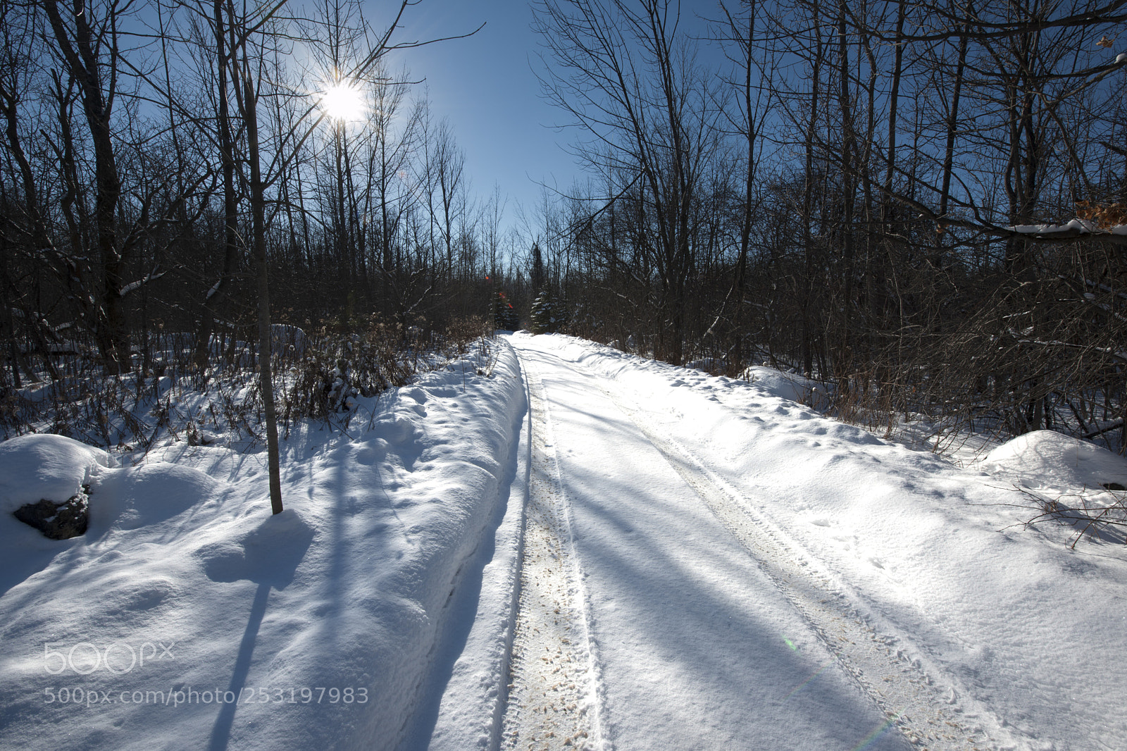 Nikon D3X sample photo. Road less travelled photography