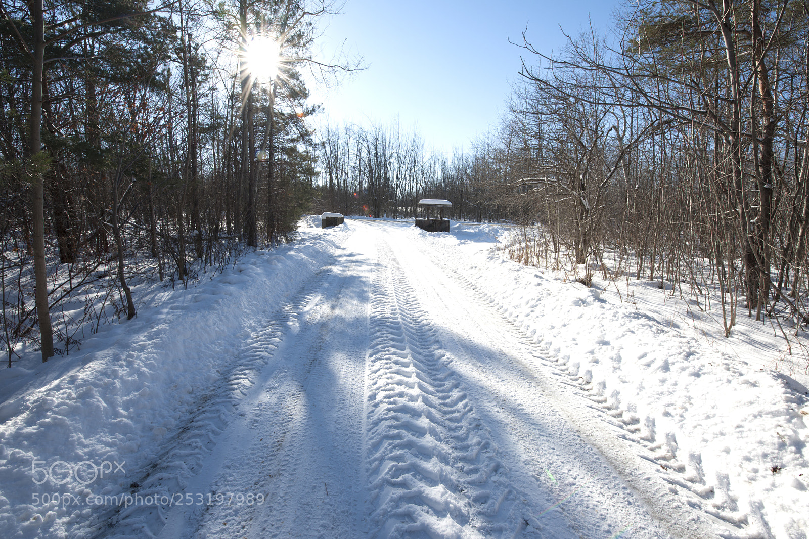Nikon D3X sample photo. Road less travelled photography