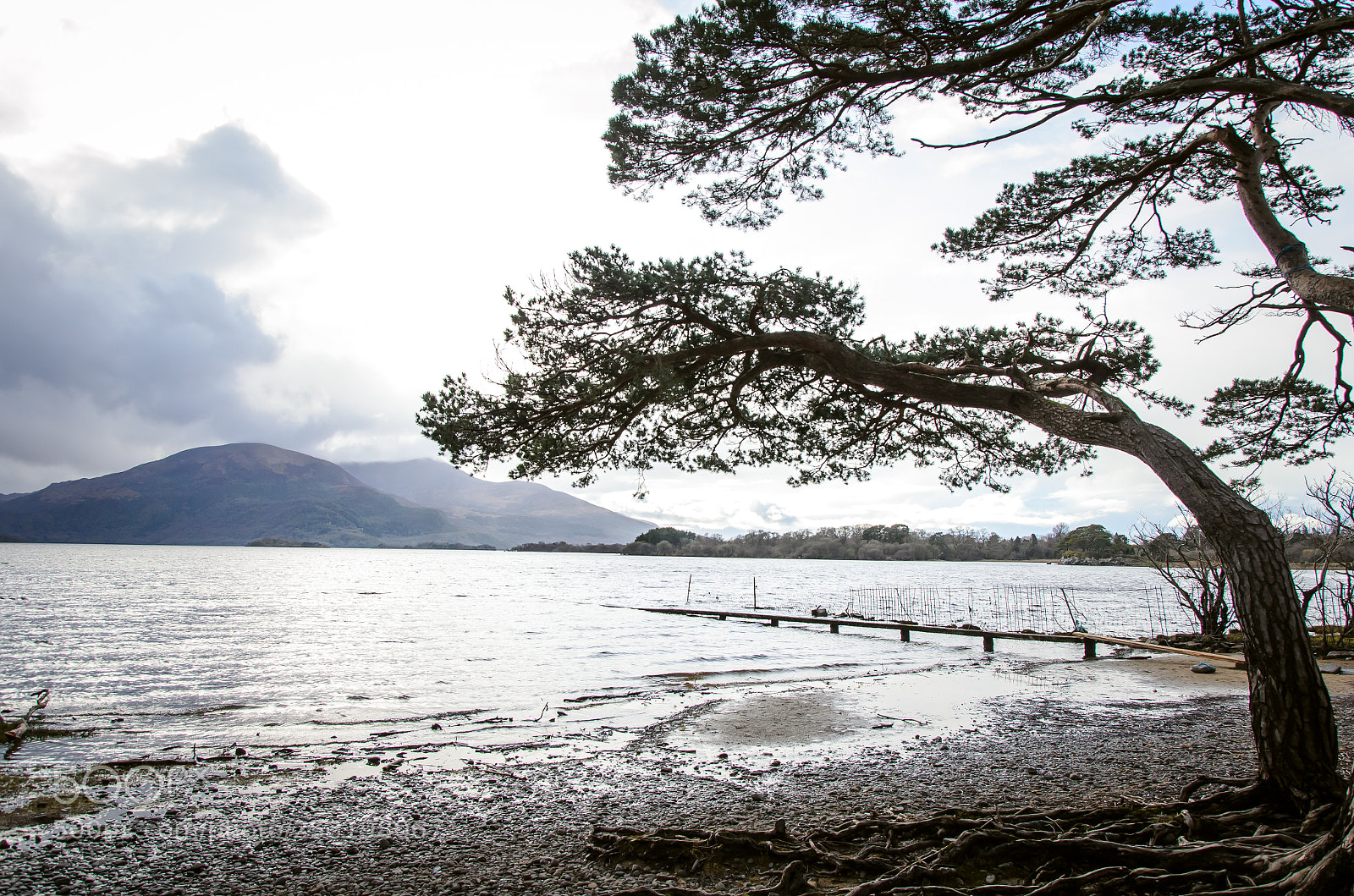 Nikon D5100 sample photo. Irlanda photography