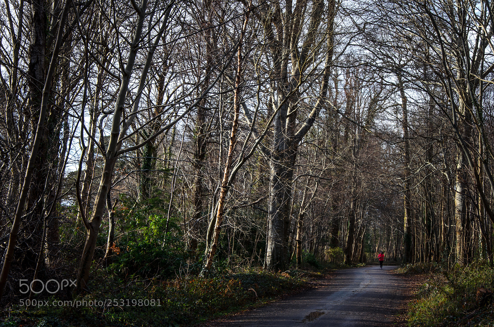 Nikon D5100 sample photo. Irlanda photography
