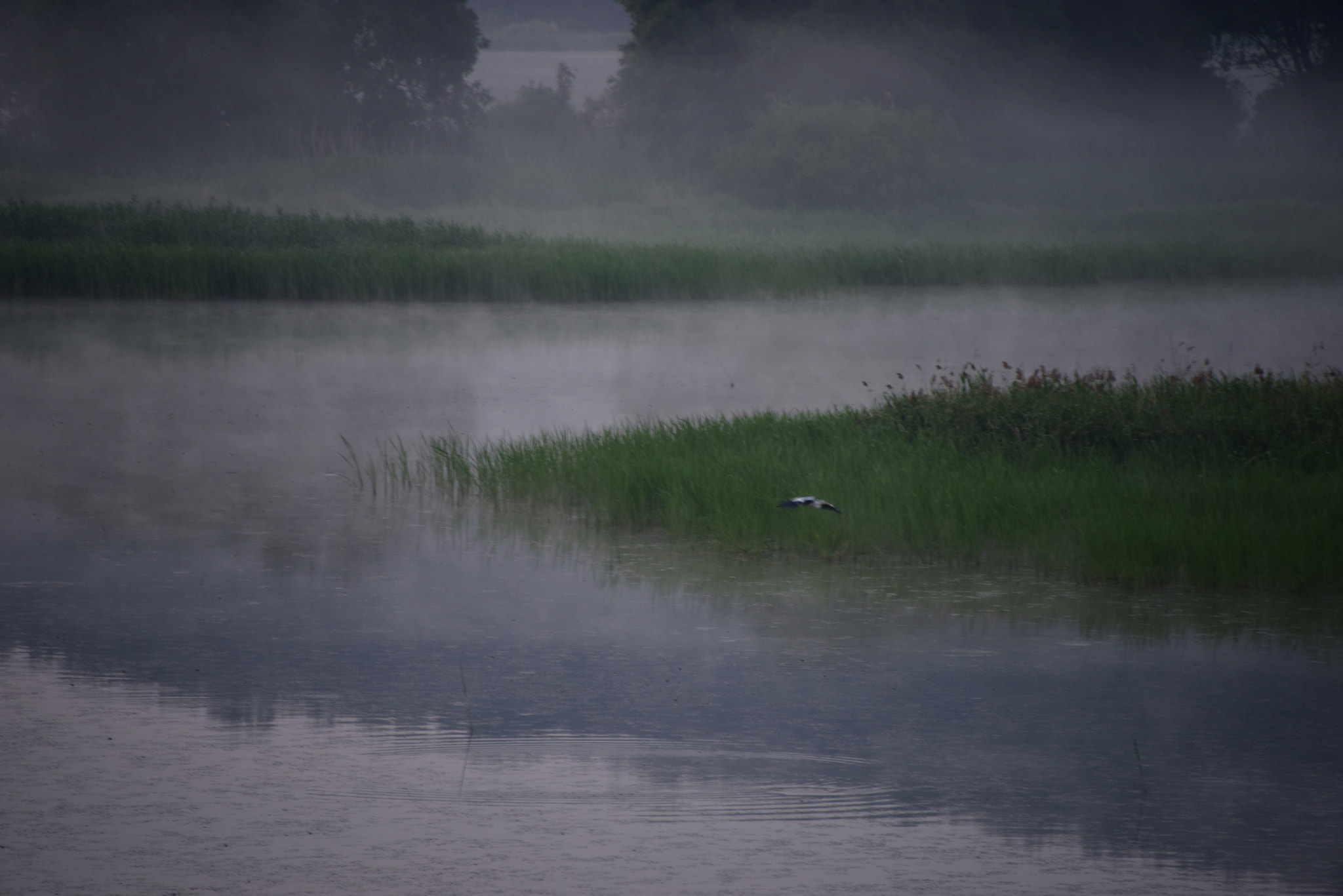Nikon D810 sample photo. Upo photography