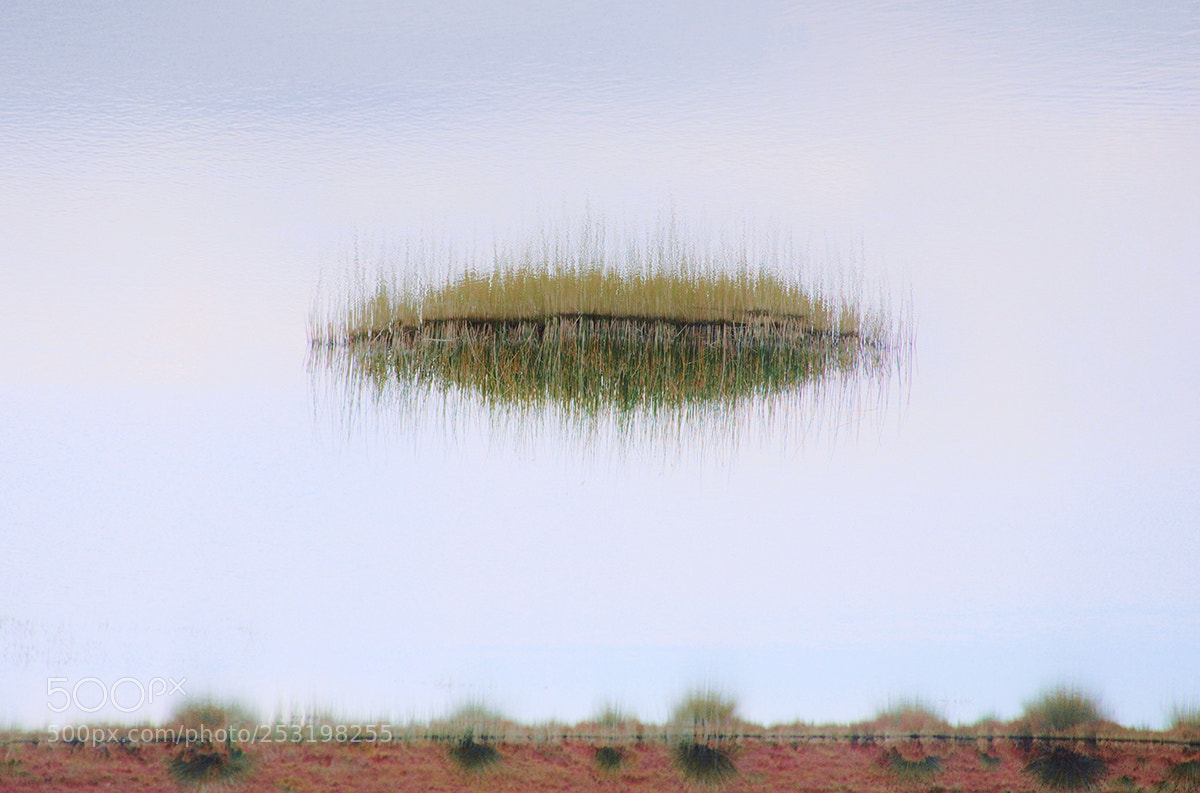 Canon EOS 5D sample photo. Eutopia (not utopia) #1 photography