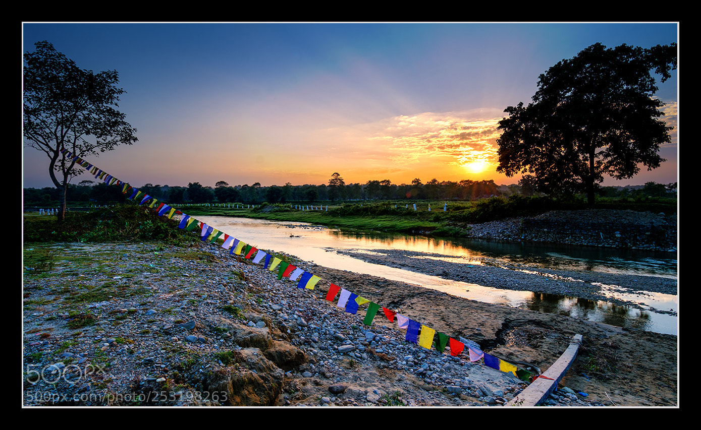 Nikon D7000 sample photo. Beauty of nature photography