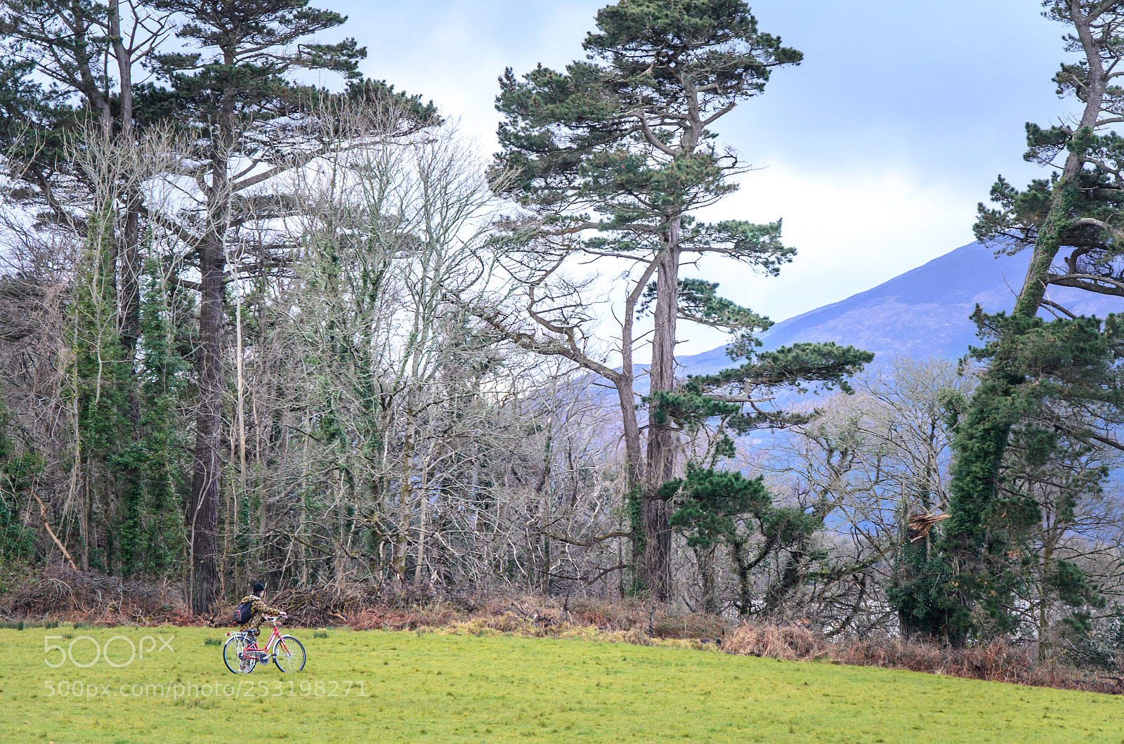Nikon D5100 sample photo. Irlanda photography