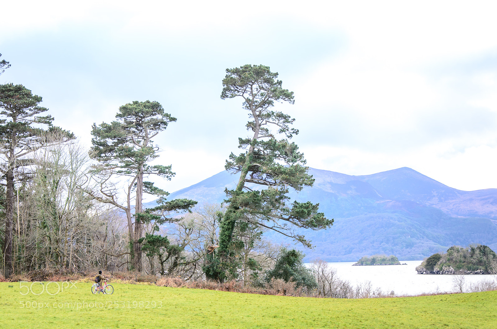 Nikon D5100 sample photo. Irlanda photography