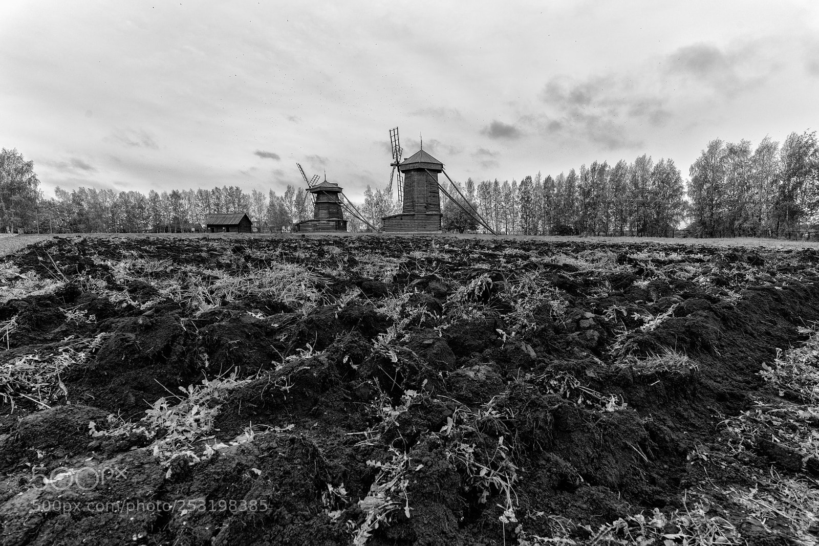 Sony a7R II sample photo. Suzdal 36. photography