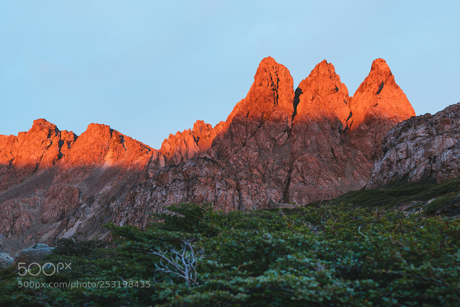 Sony a7R II sample photo. Dientes de navarino photography