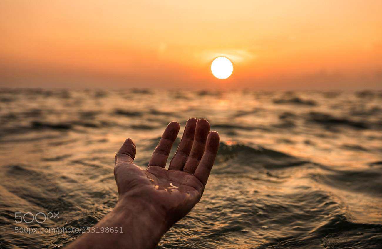 Sony a7R III sample photo. *** photography