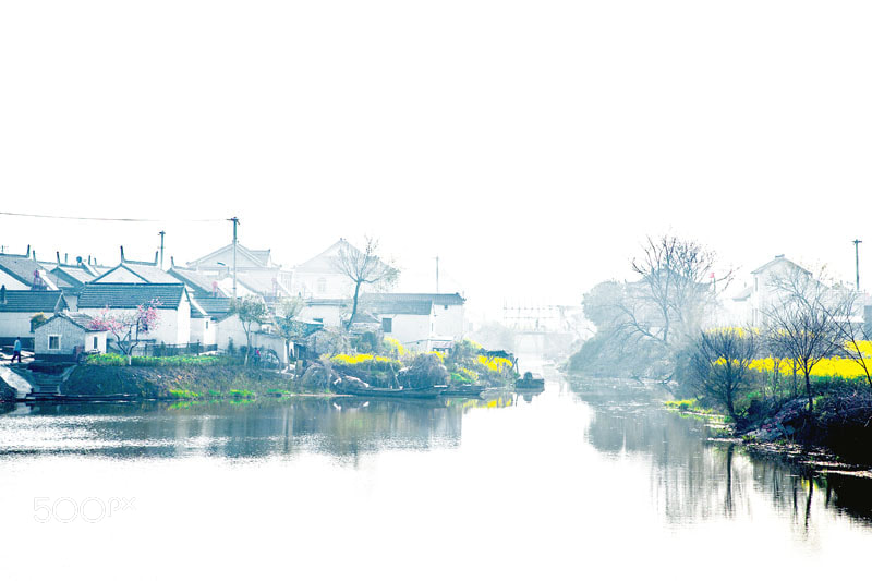 Canon EOS 5D Mark II sample photo. Untitled photography
