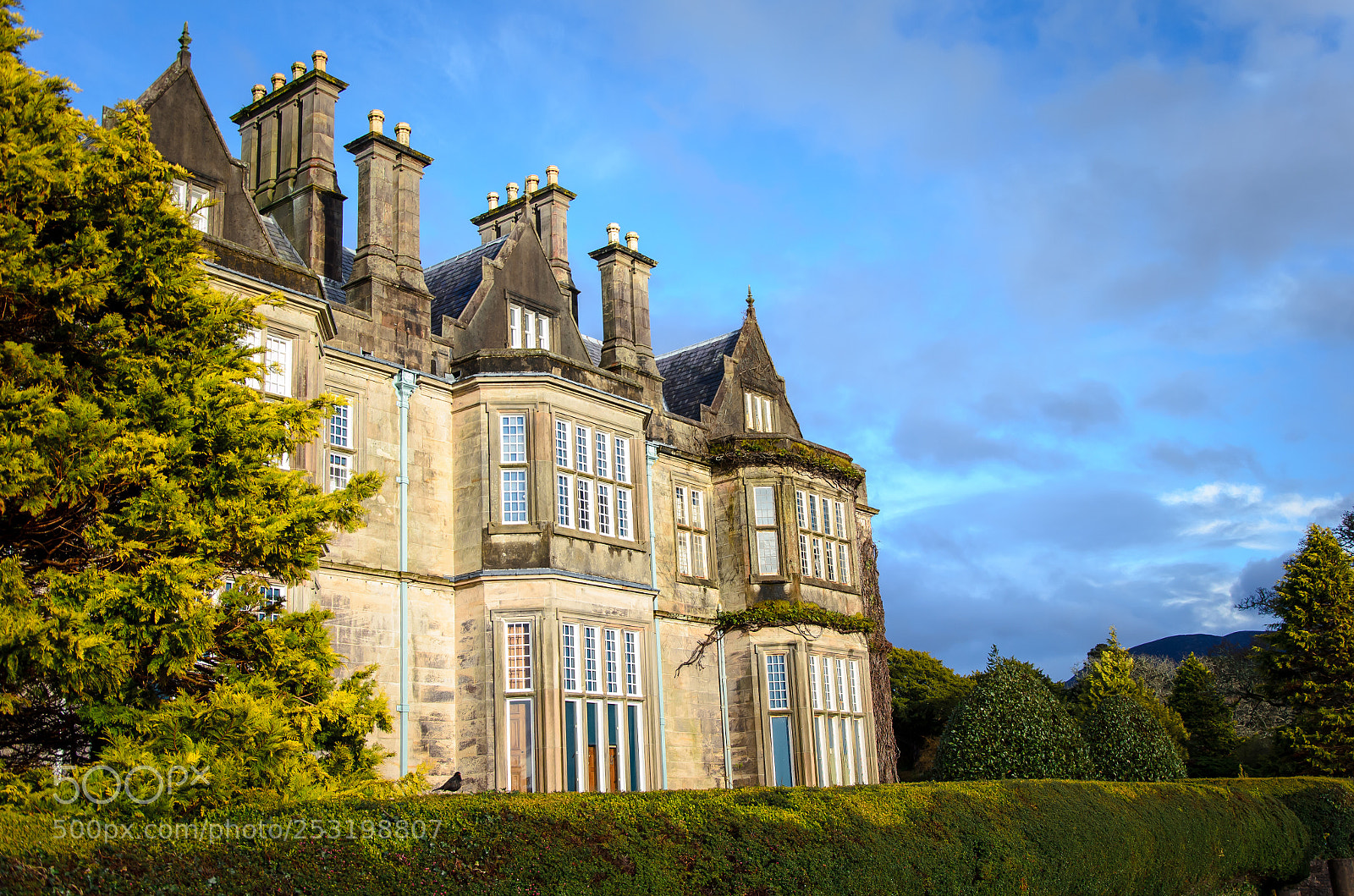 Nikon D5100 sample photo. Irlanda photography
