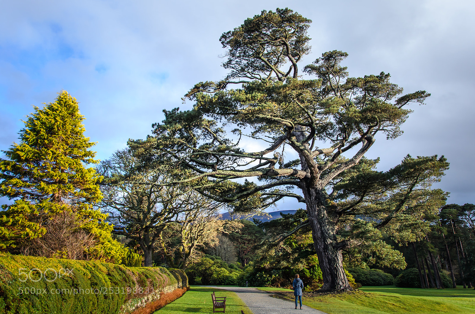Nikon D5100 sample photo. Irlanda photography