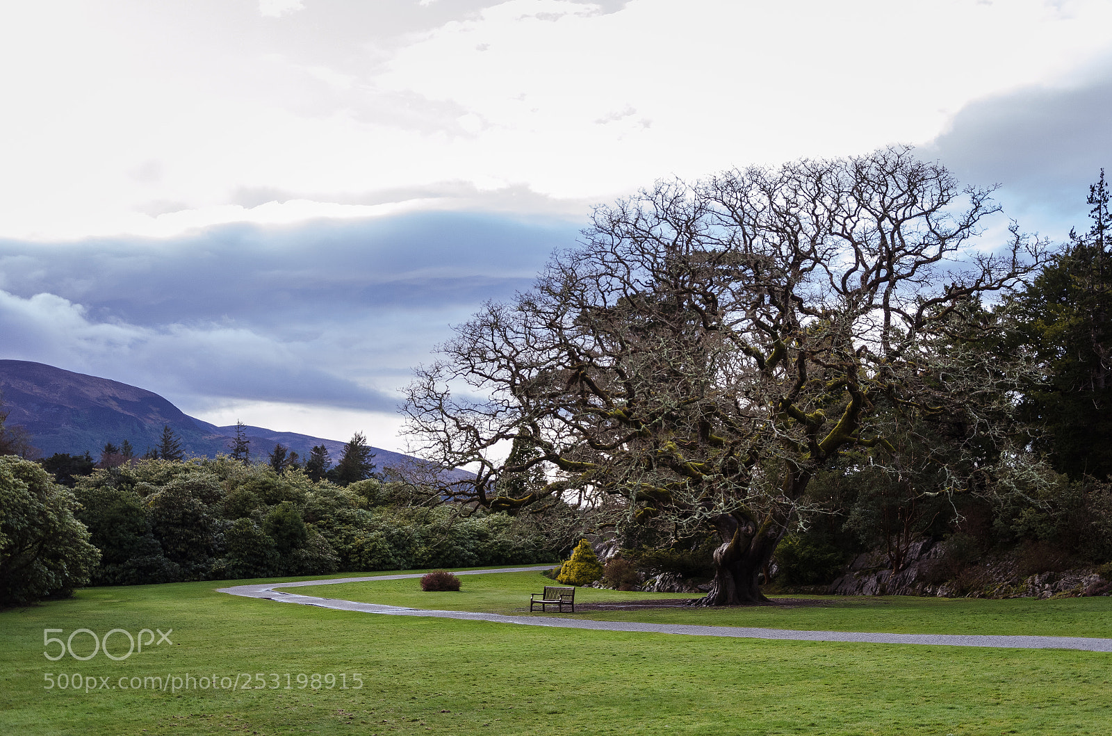 Nikon D5100 sample photo. Irlanda photography