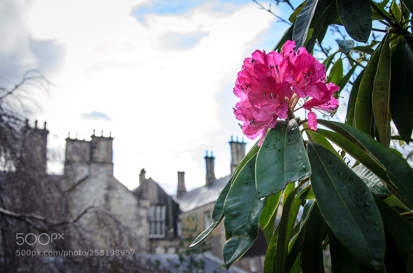 Nikon D5100 sample photo. Irlanda photography