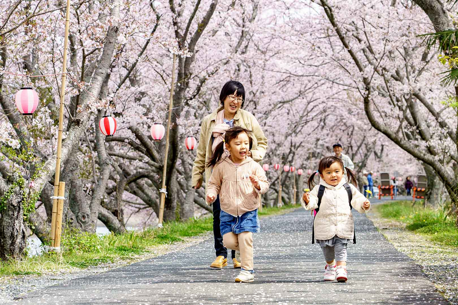 Sony a7 III sample photo. 春の散歩 photography