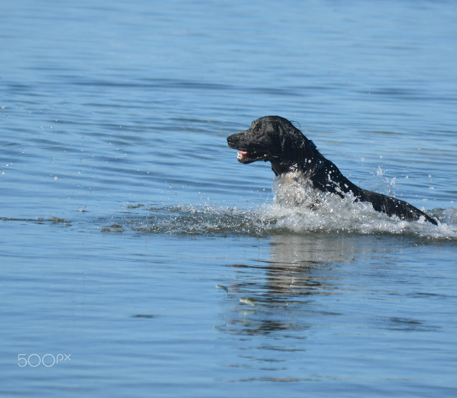 Nikon D5200 sample photo. Gibson fishing photography