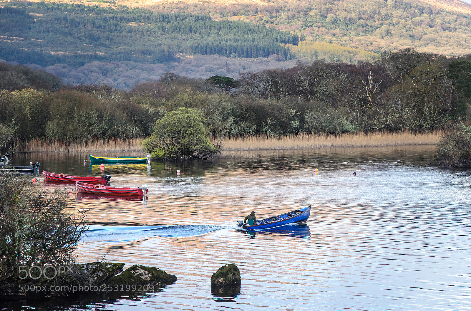 Nikon D5100 sample photo. Irlanda photography