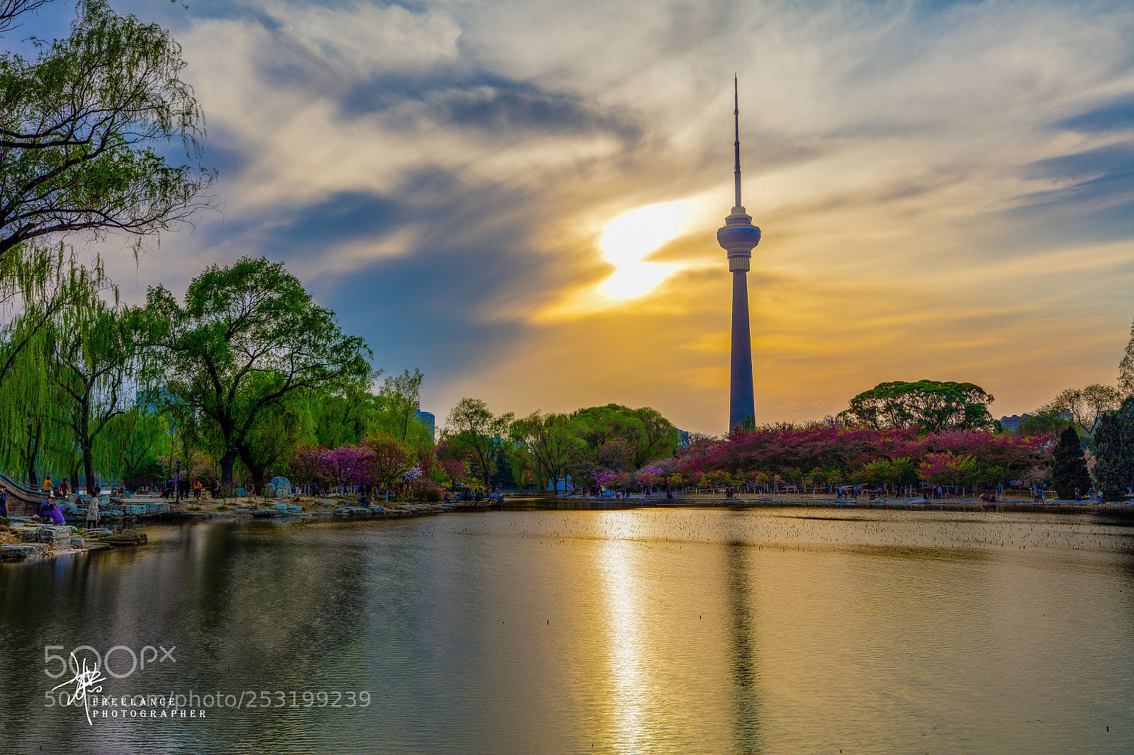 Canon EOS 5DS sample photo. Cherry photography