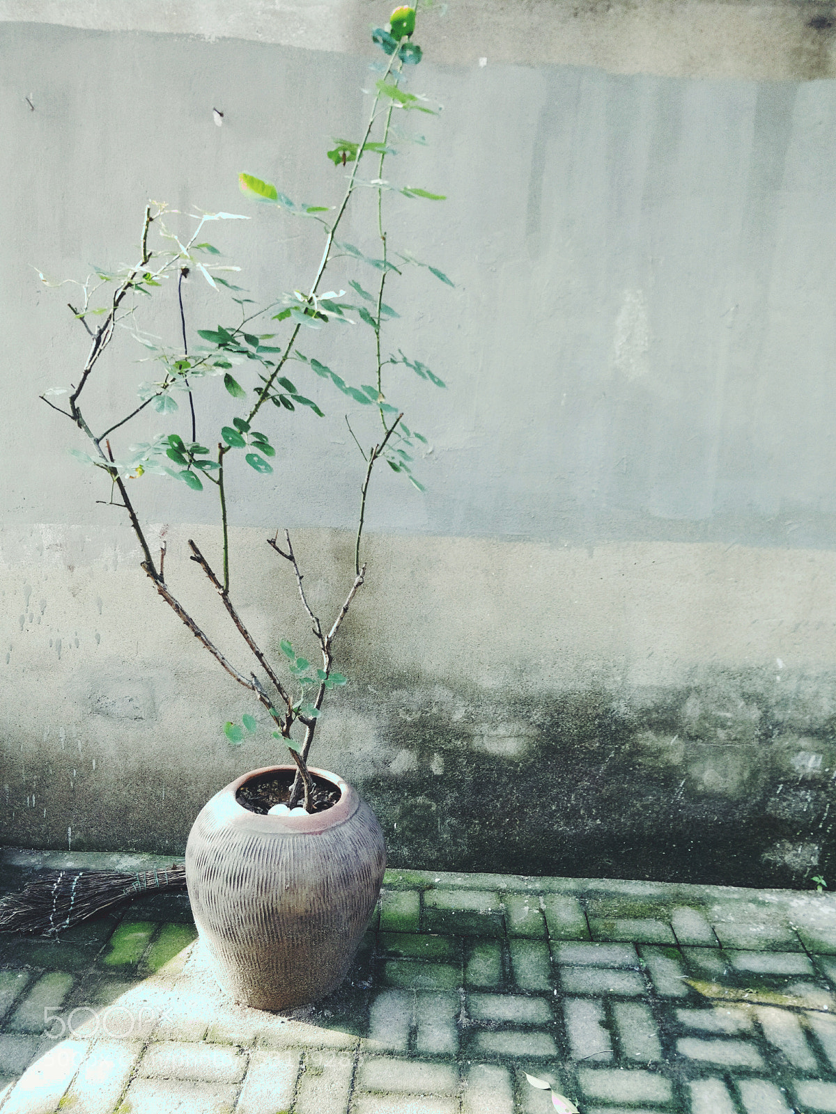 OnePlus 5 sample photo. Untitled photography
