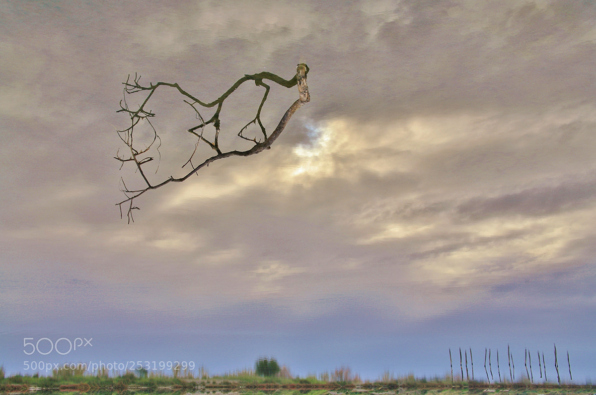 Canon EOS 5D sample photo. Eutopia (not utopia) #2 photography