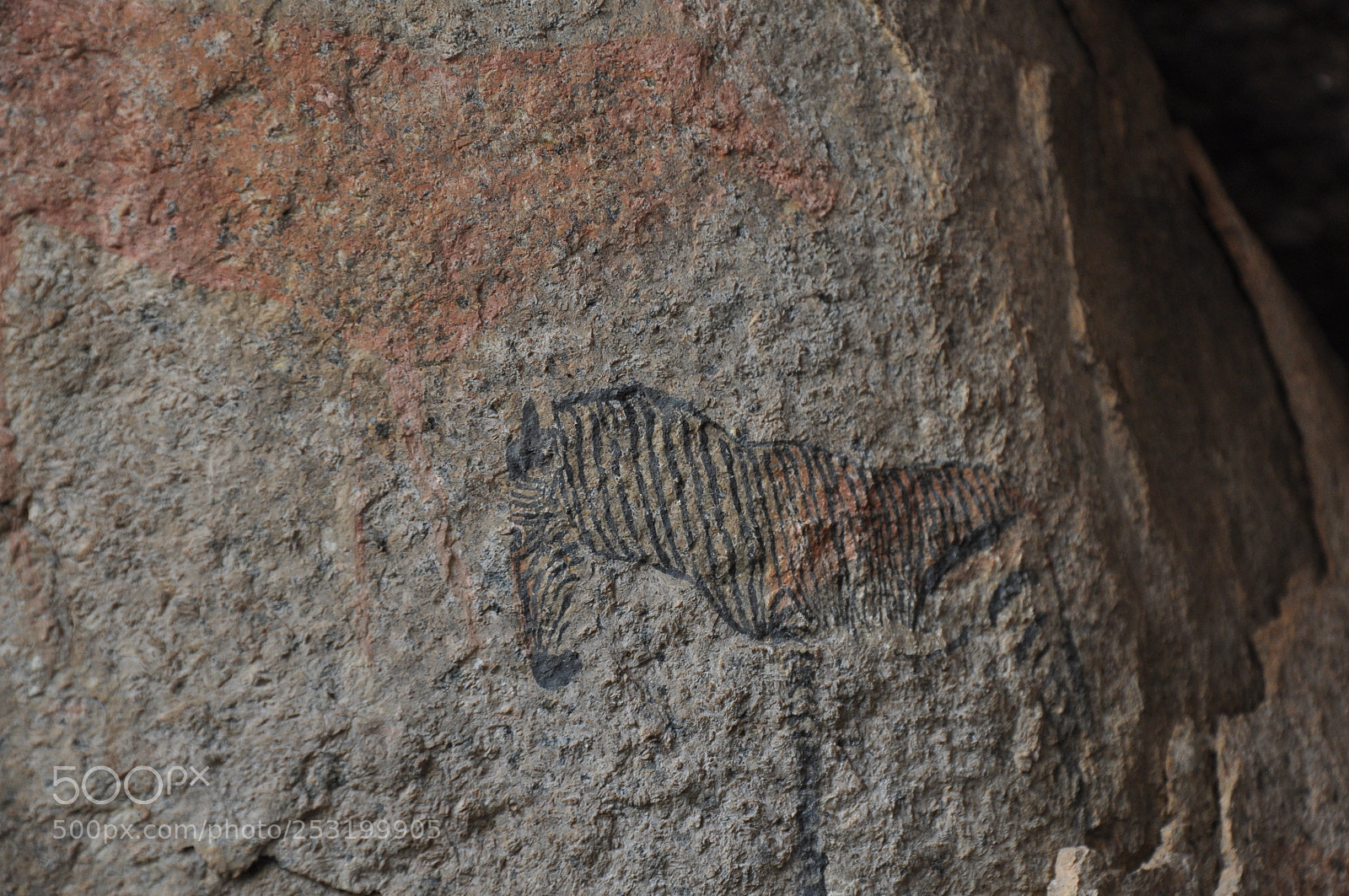 Nikon D90 sample photo. Such detail on a photography