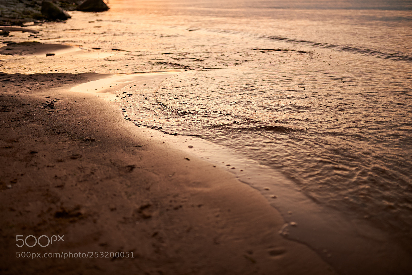 Nikon D700 sample photo. Baltic photography