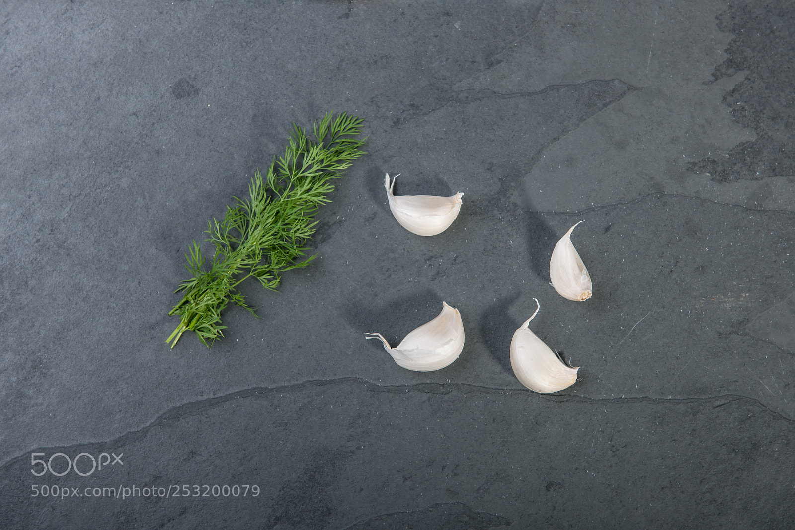 Nikon D3X sample photo. Dill and garlic photography