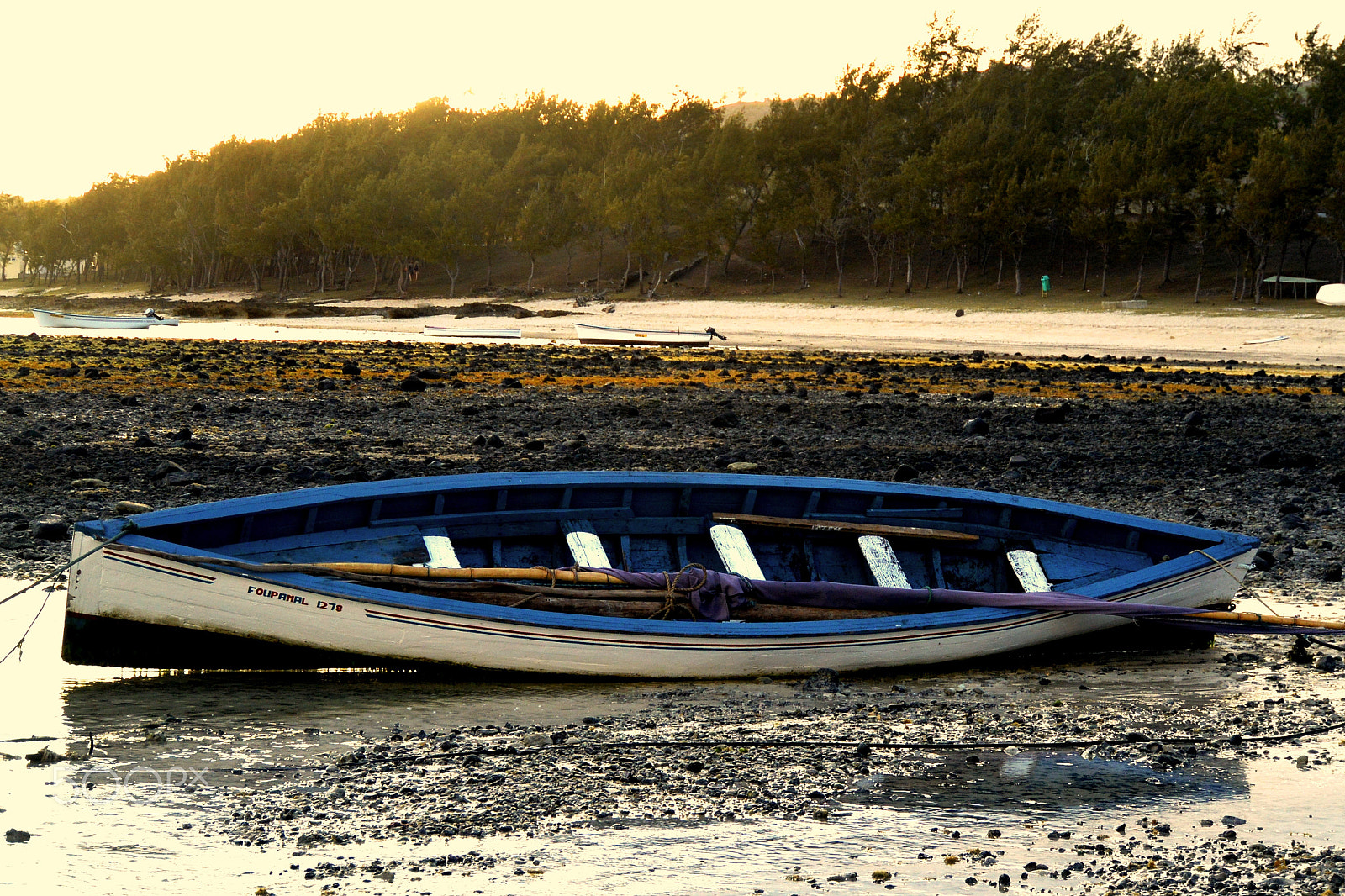 Nikon 1 V2 sample photo. Rod - pirogue 2 photography