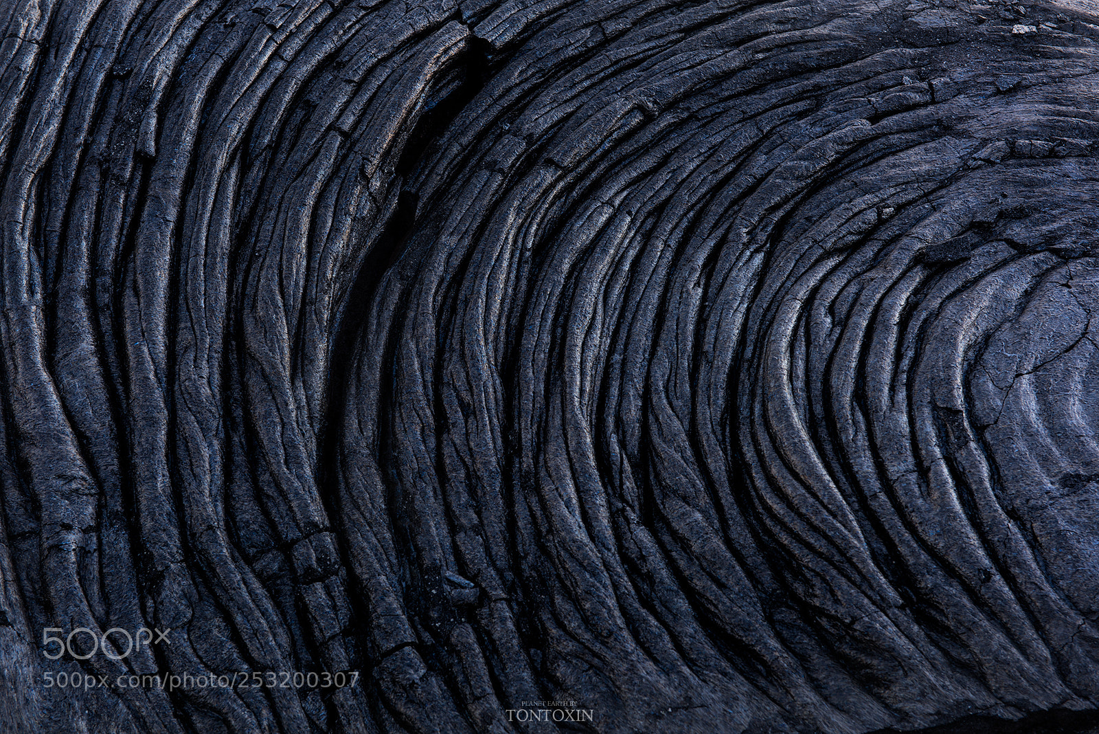 Nikon D810 sample photo. Stone rope photography