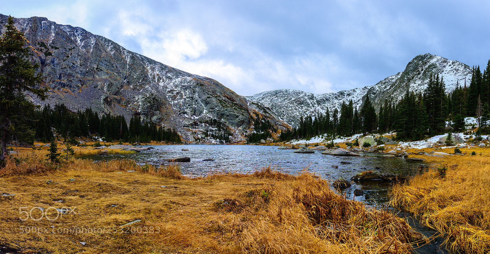 Nikon D600 sample photo. The brink of winter photography